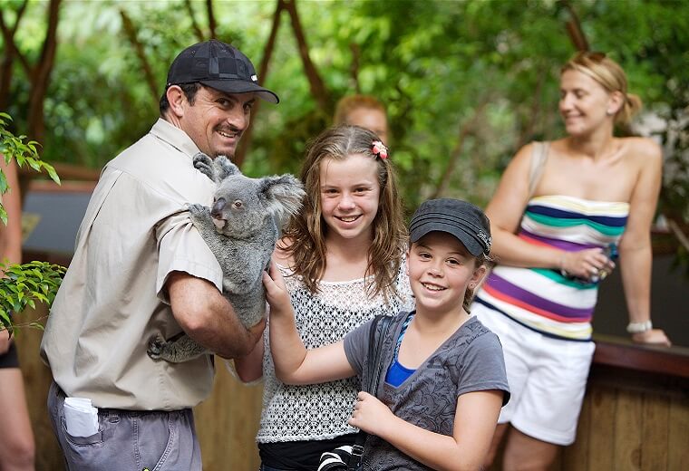 hartleys-koala-pat.jpg