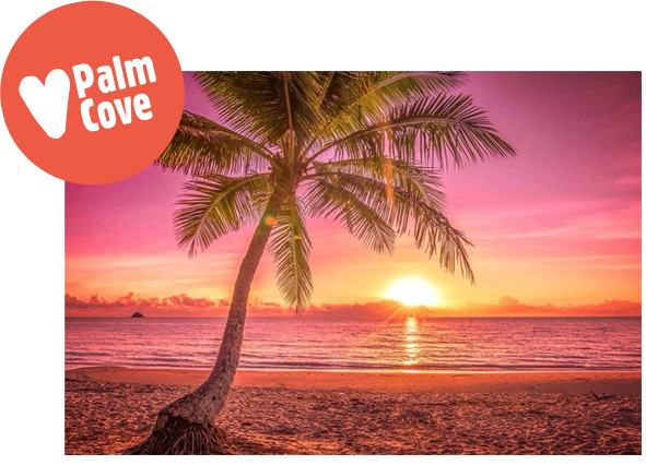 palm-cove-beach.png