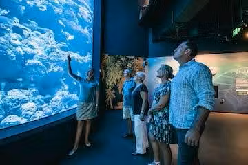aquarium.png