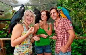 birdworld_1.jpg