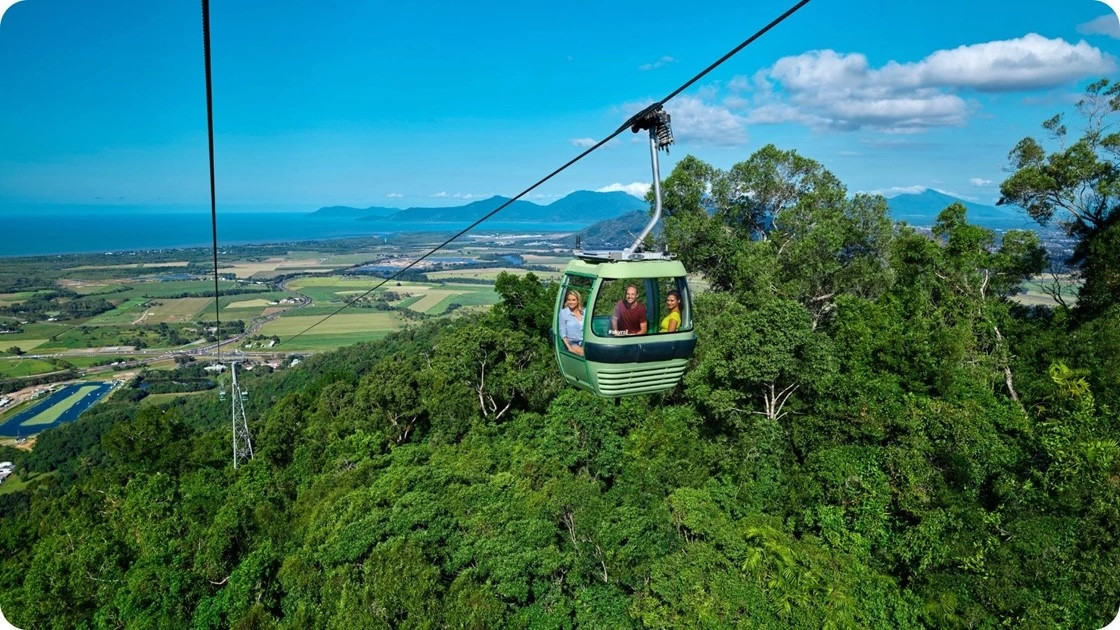 Experience the Wonders of Skyrail