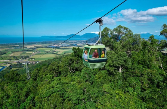 Experience the Wonders of Skyrail