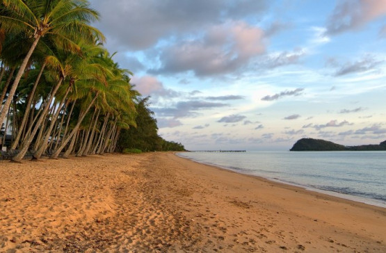 Saving Money in Palm Cove