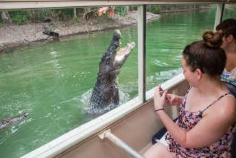 Hartley’s Crocodile Adventures