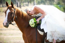 horse.jpg