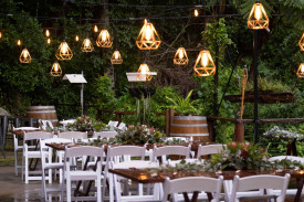 rainforest-wedding.jpg